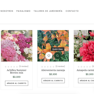 Web Ecommerce